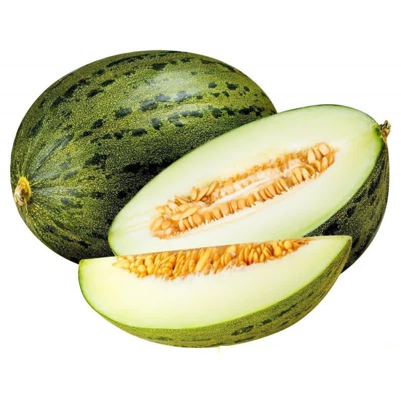 Melon Sapo Spain
